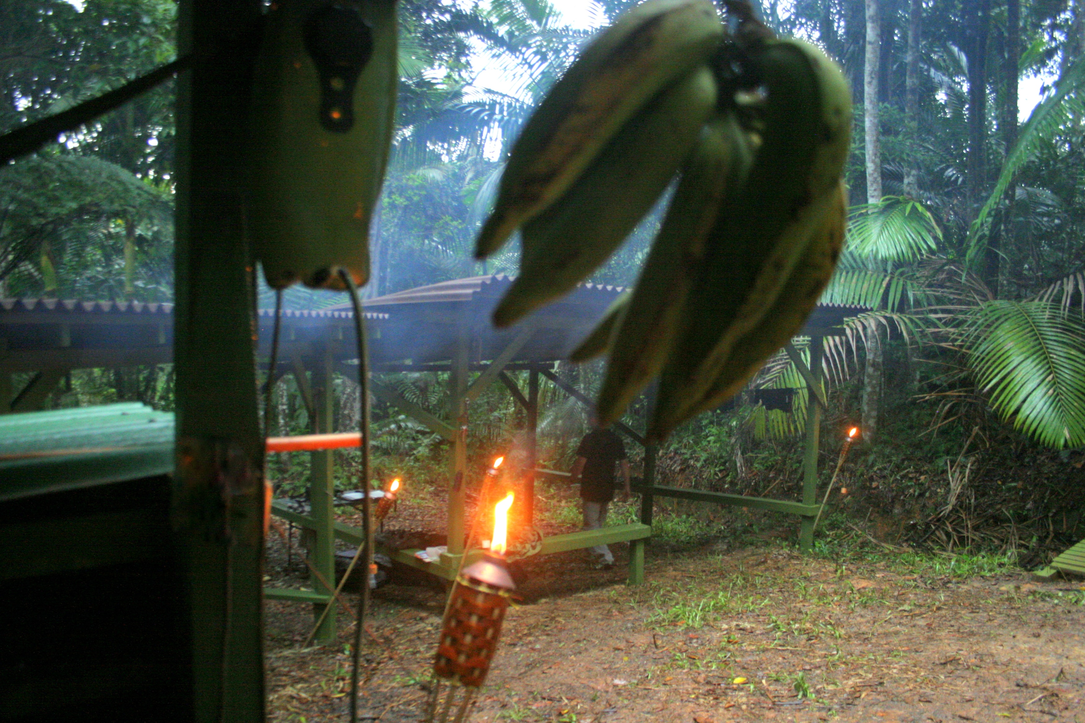 Caribbean Jungle — Home of Tim's remote training facility